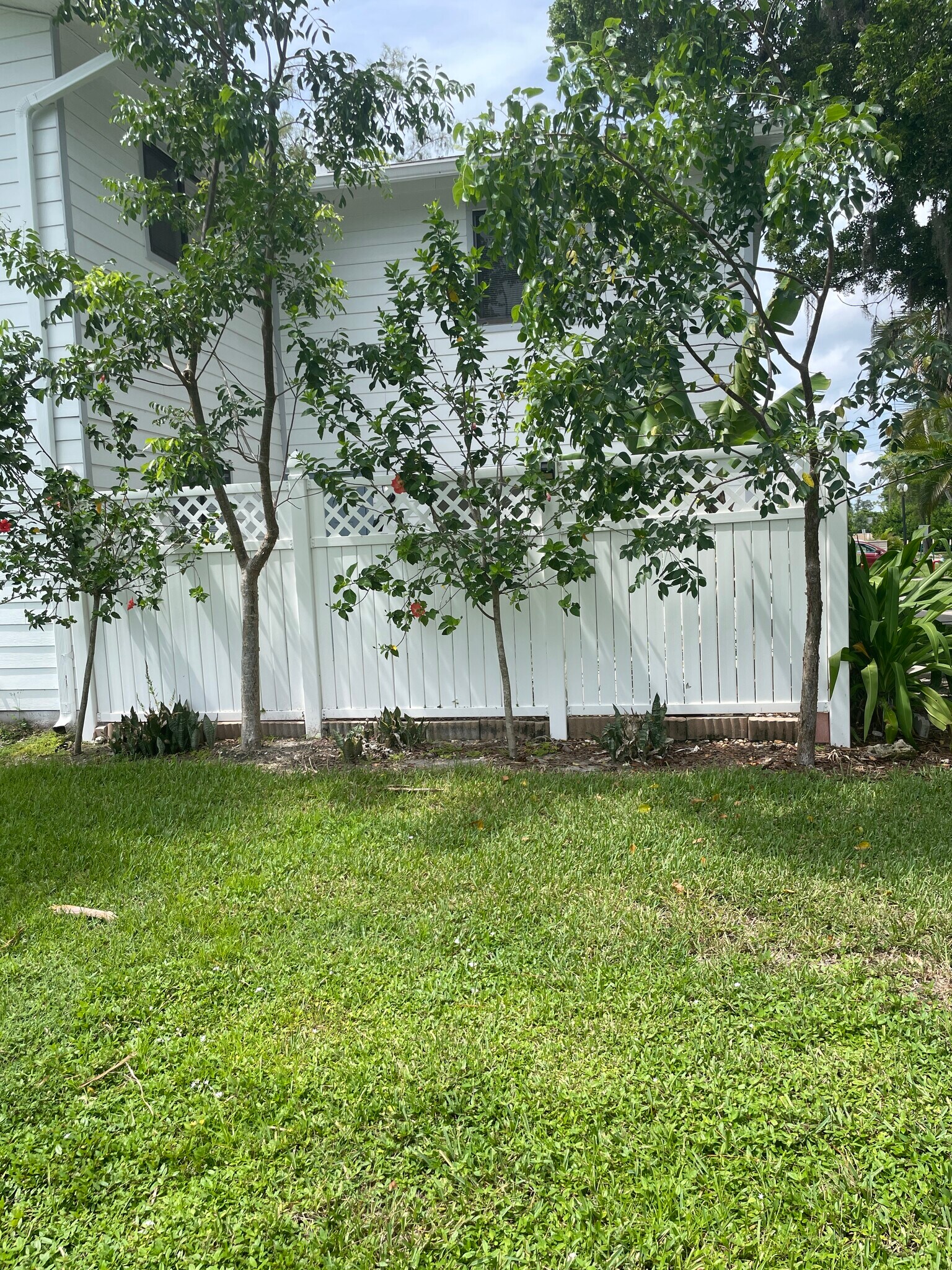 Building Photo - 7724 Tamara Lee Ct