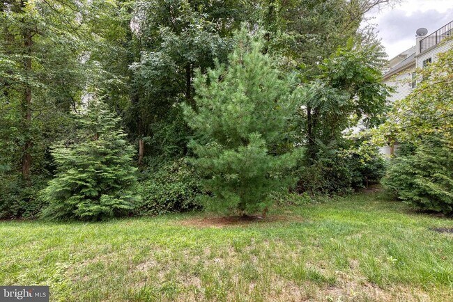 Building Photo - 513 Bluffton Dr