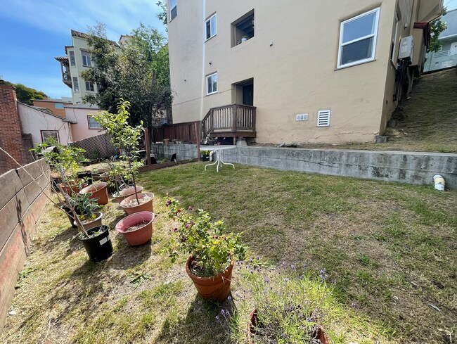 Building Photo - 2515 Ivy Dr