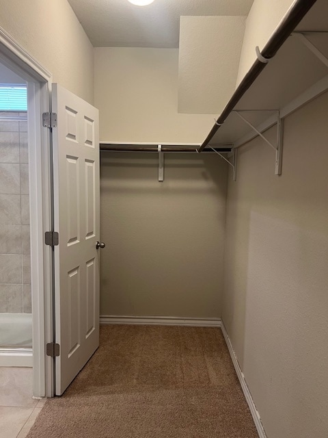 Building Photo - 217 Braeden Brooke Dr