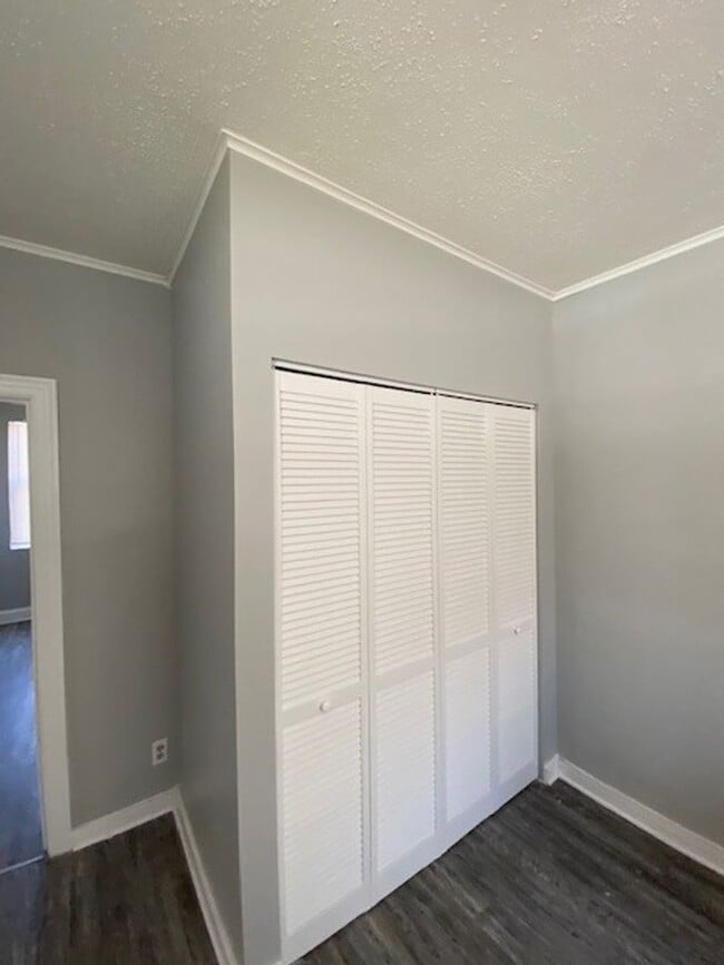 Building Photo - Spacious 3 Bedroom 1 Bathroom Home Located In St. Petersburg, Florida