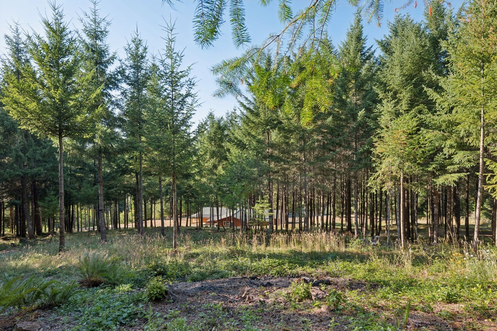 Building Photo - 2011 Pleasant View Dr