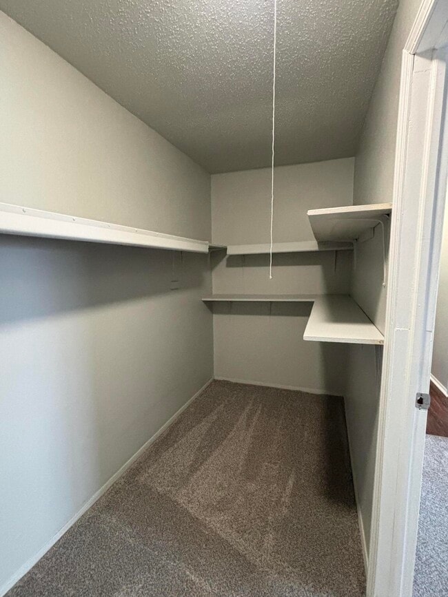 Building Photo - 157 Canfield St