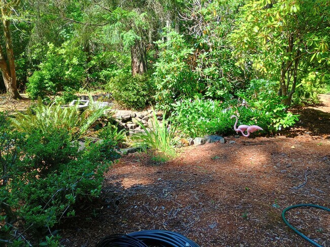 Pond area. - 8008 149th St NW