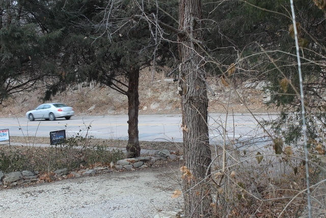 Building Photo - Updated 4 bed/2 bath Mid-Century Home - Pr...