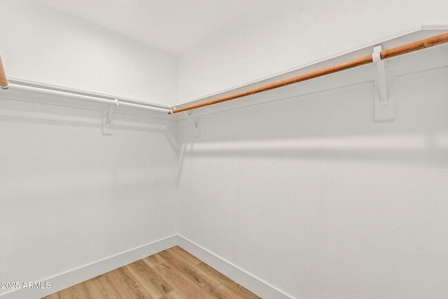 Building Photo - 11128 E Sahuaro Dr