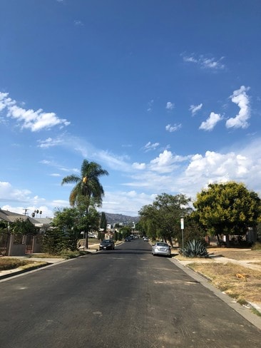 Building Photo - 1118 N Heliotrope Dr