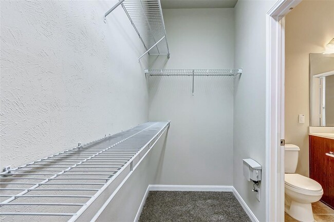 Building Photo - 22402 Lavaca Ranch Ln