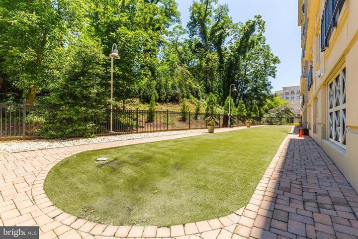 Dog Park - 5 Park Pl