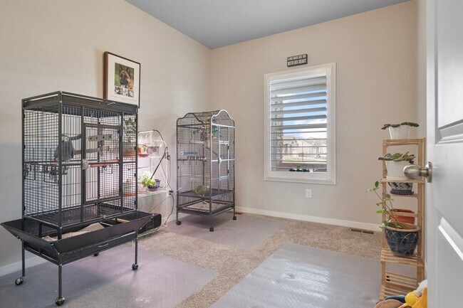 Building Photo - Gorgeous 5 Bed 3 Bath Home in North Loveland!