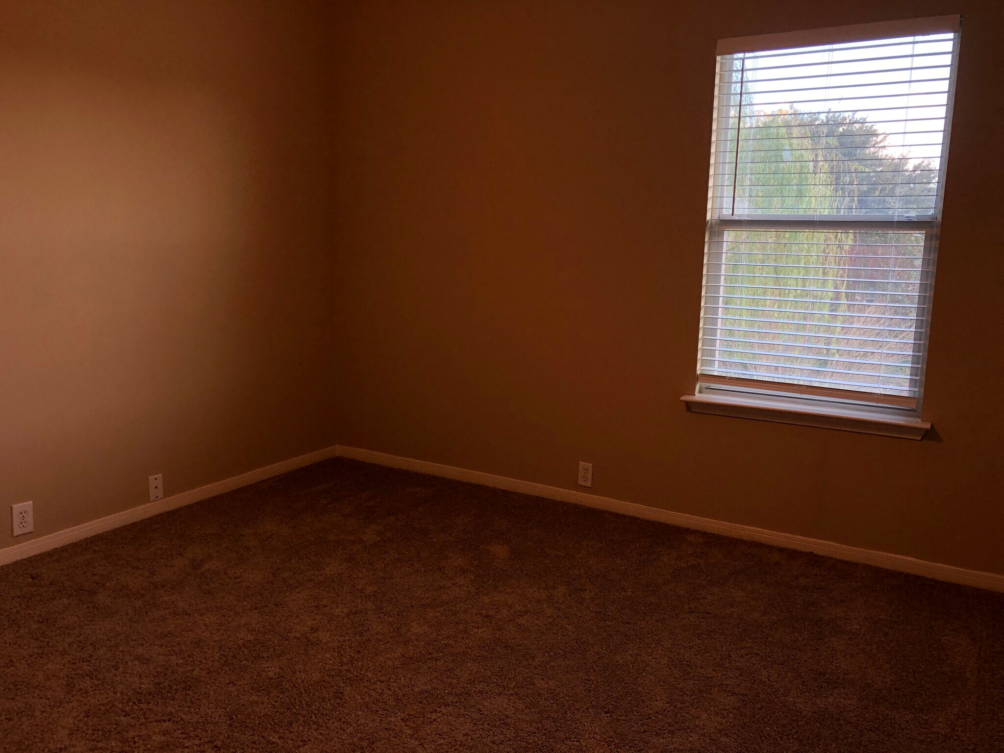 Bedroom #2 - 17359 Turquoise Stream Dr