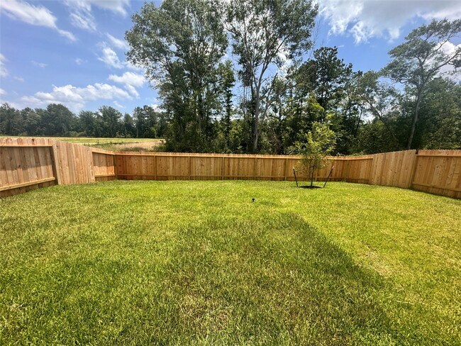 Building Photo - 25668 Rose Creek Dr