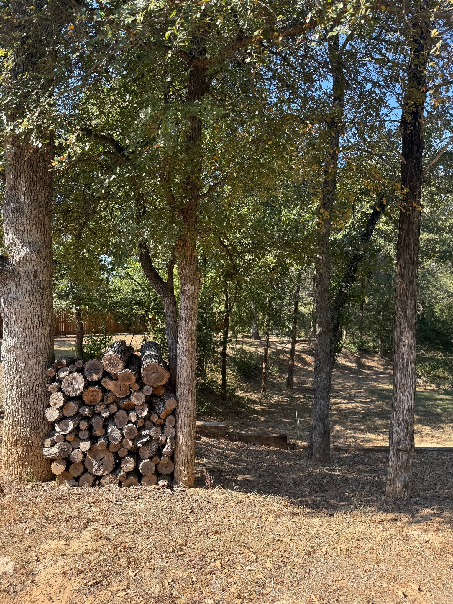 Yard - 106 Harper Dr