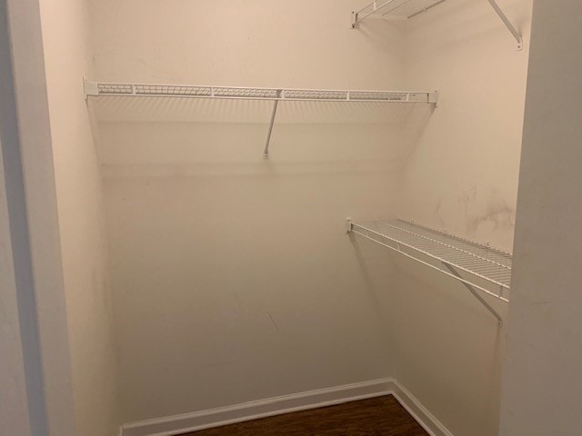 Building Photo - 428 Plantation Pl