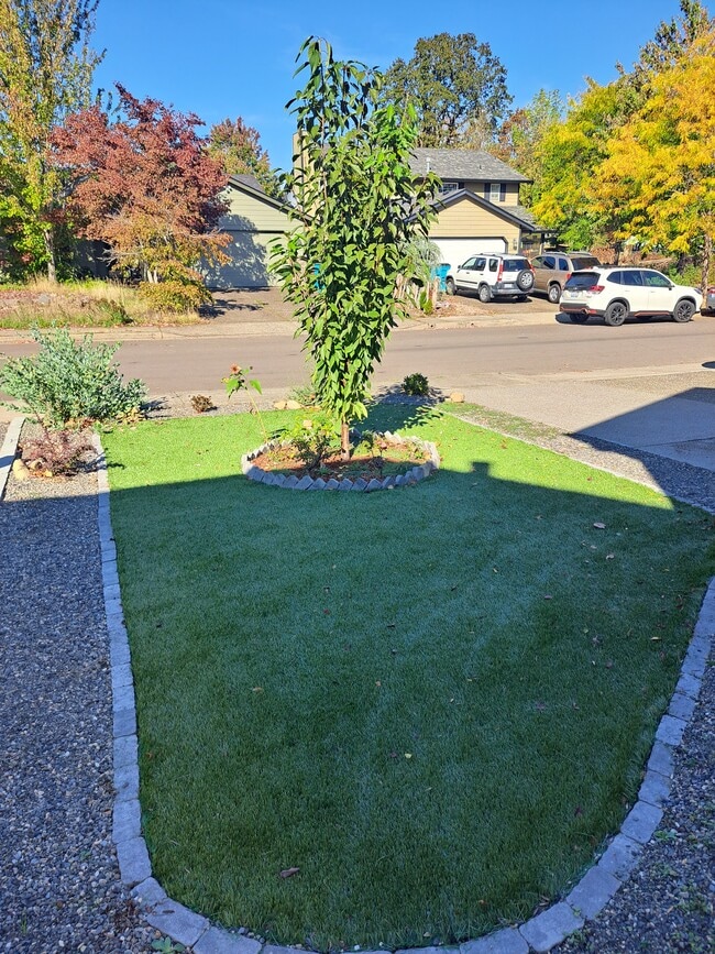 Artificial turf in front yard - 15815 NE 69th St