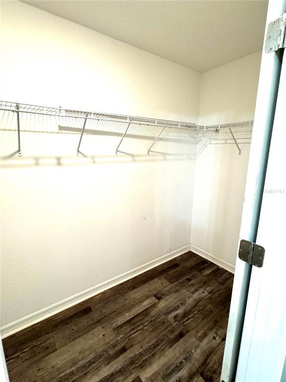 Building Photo - 4329 Globe Thistle Dr