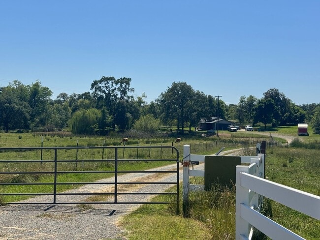 Building Photo - House with pastures in Loma Rica