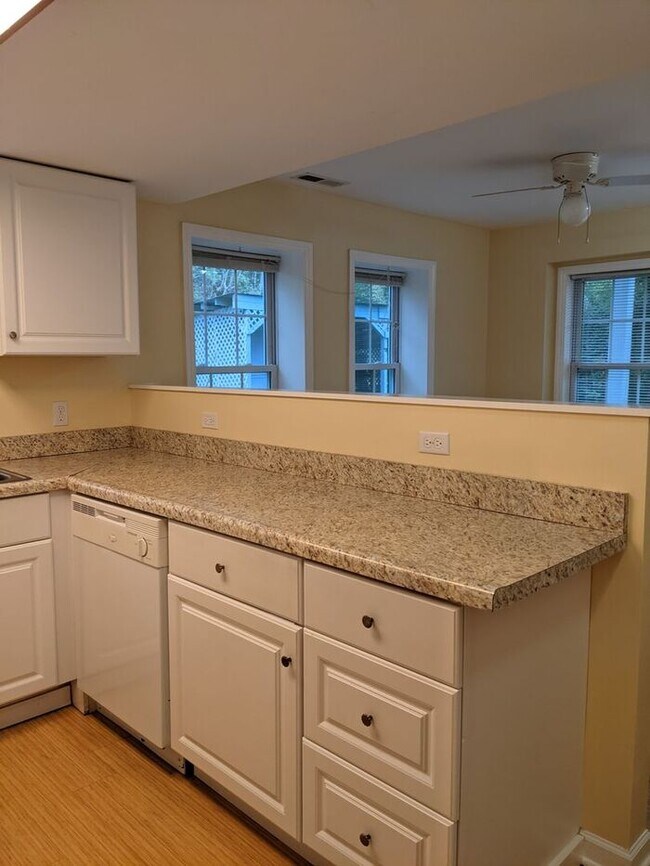 Building Photo - Charming West Asheville Basement Apartment