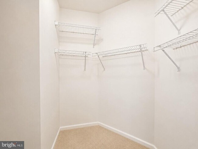 Building Photo - 4550 Strutfield Ln