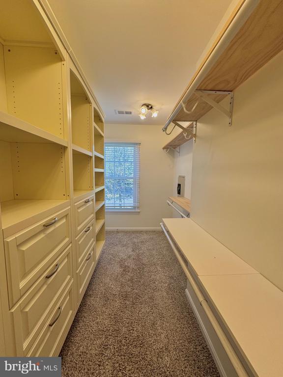 Building Photo - 12102 Snow Shoe Ct