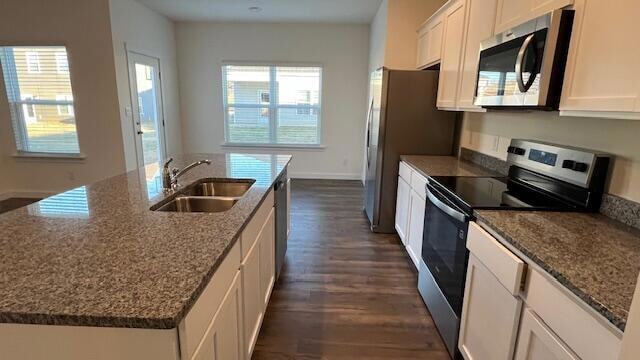 Building Photo - 4266 Scenic Dr SE