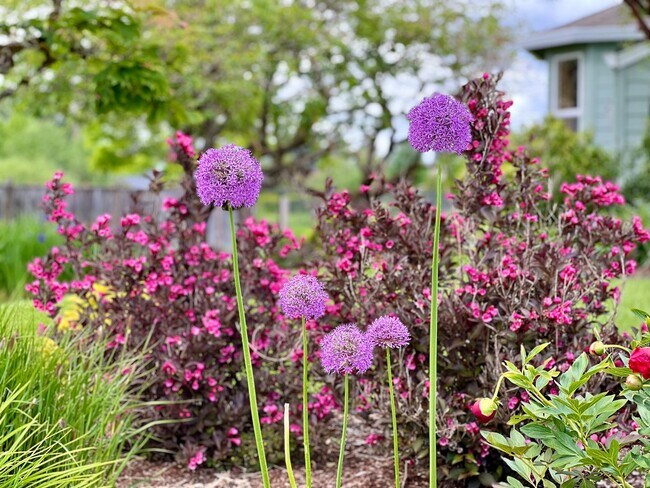 Building Photo - One Level Home - Three Bedroom + Bonus with AC / Beautiful Yard!