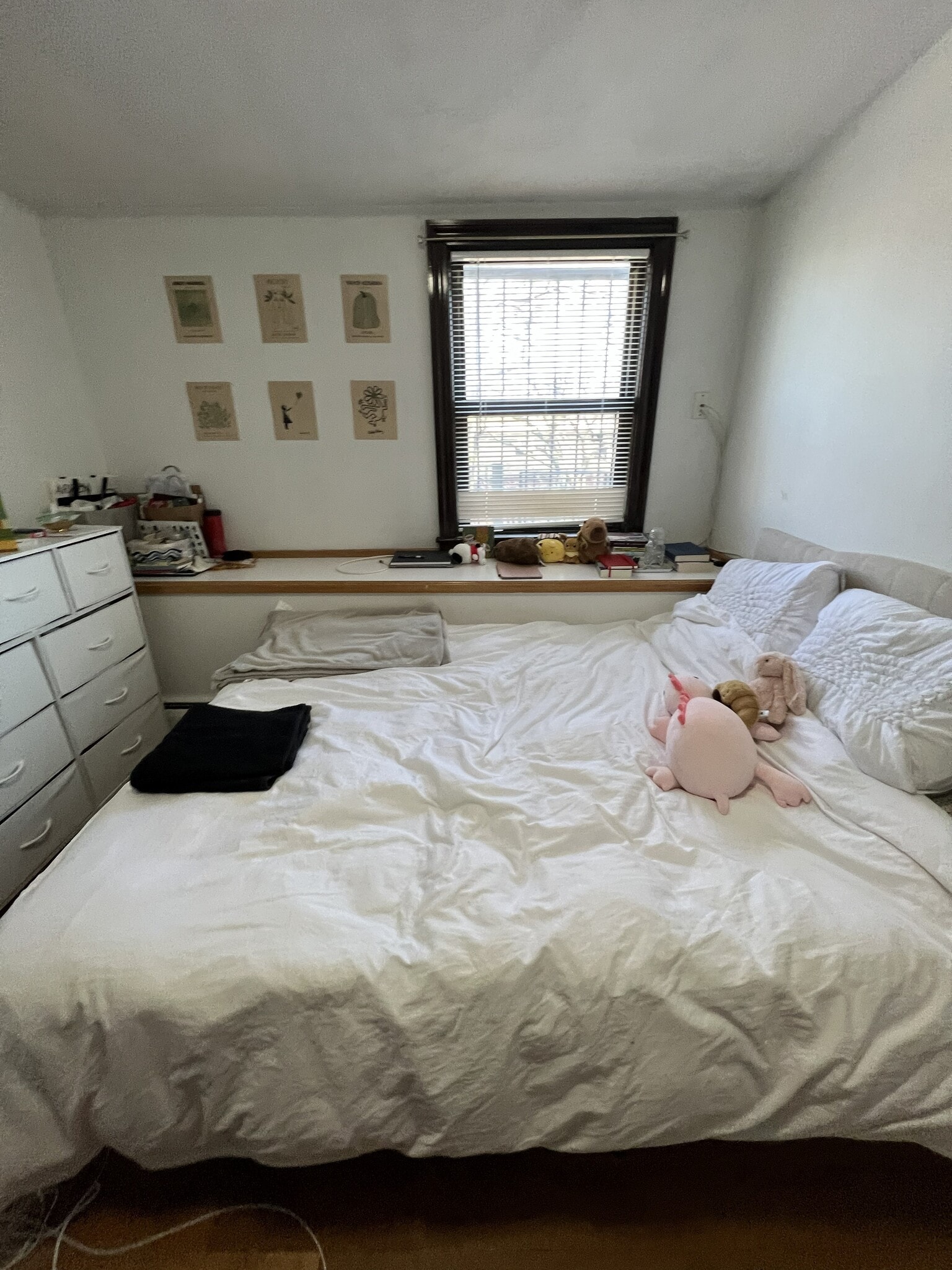 Building Photo - 518 Massachusetts Ave