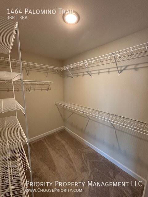Building Photo - 1464 Palomino Trl