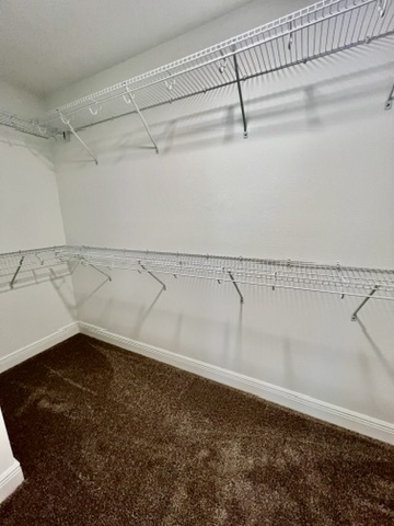 Building Photo - 30963 Pendleton Lndg Cir