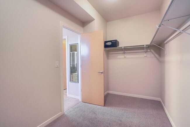 Building Photo - 2421 Rose Ct