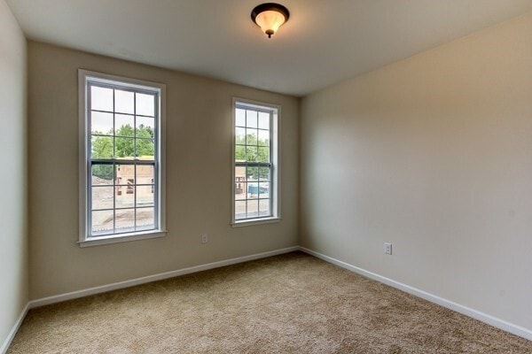 Building Photo - 1008 Bradish Ln