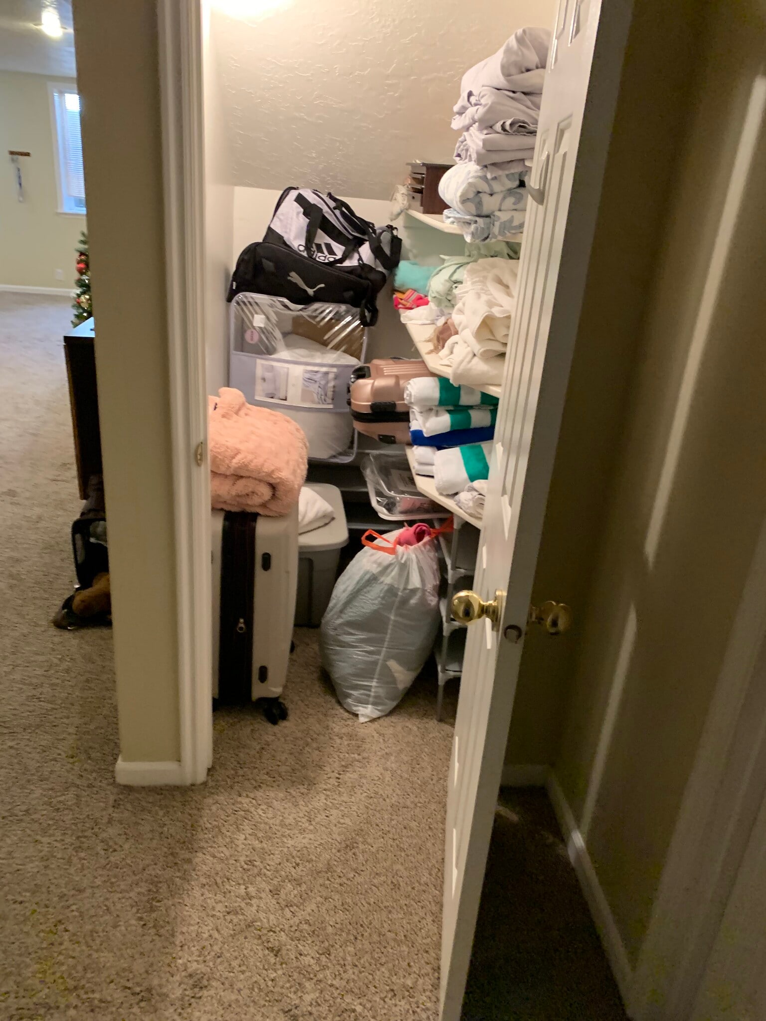 Storage under stairs - 1642 E Fort Union Blvd