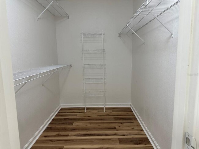 Building Photo - 1023 Cinnamon Fern Ct