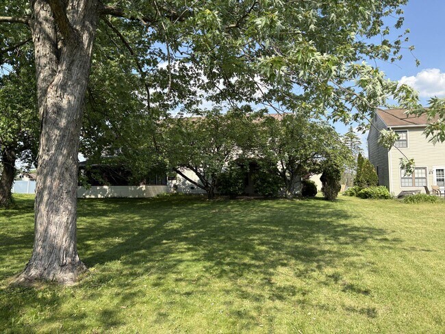 Building Photo - 167 Sunshine Dr