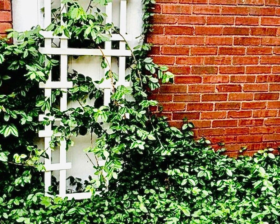 Building Photo - 735 Lincolnway E