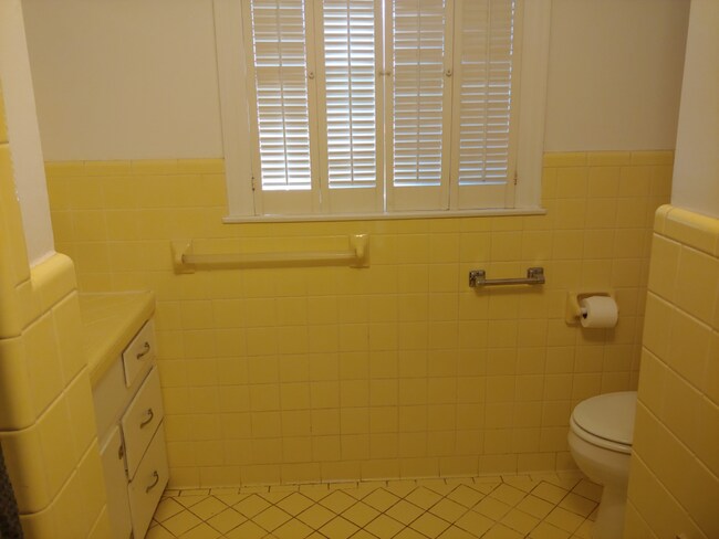 Toilet and Vanity area - 419 Lincoln Dr