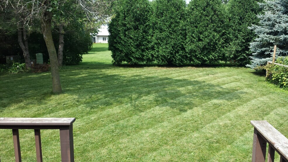 Backyard - 731 Crawford Dr