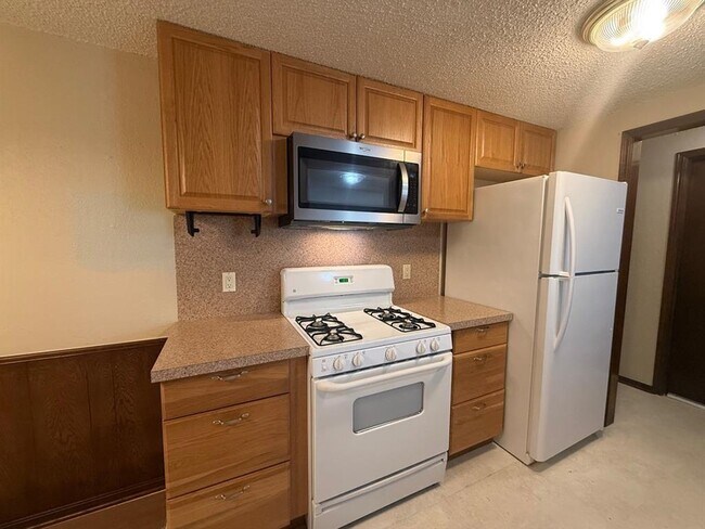 Building Photo - 1015 Swan Lake Ct