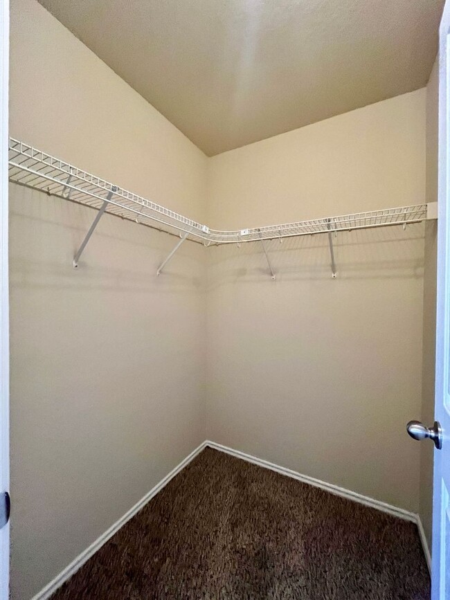 Building Photo - **Freshly Painted~ Easy access to 1604 and...