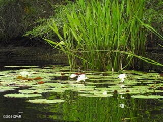 Building Photo - 22942 Ann Miller Rd