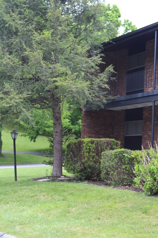 Building Photo - 102 Terrace Ct