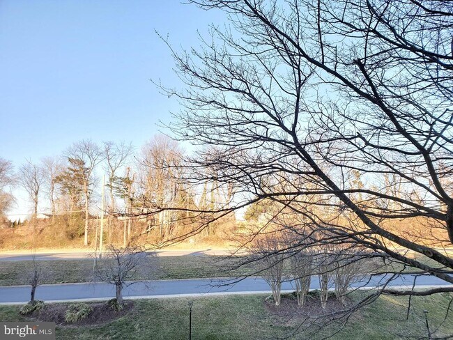 Building Photo - 6137 Leesburg Pike