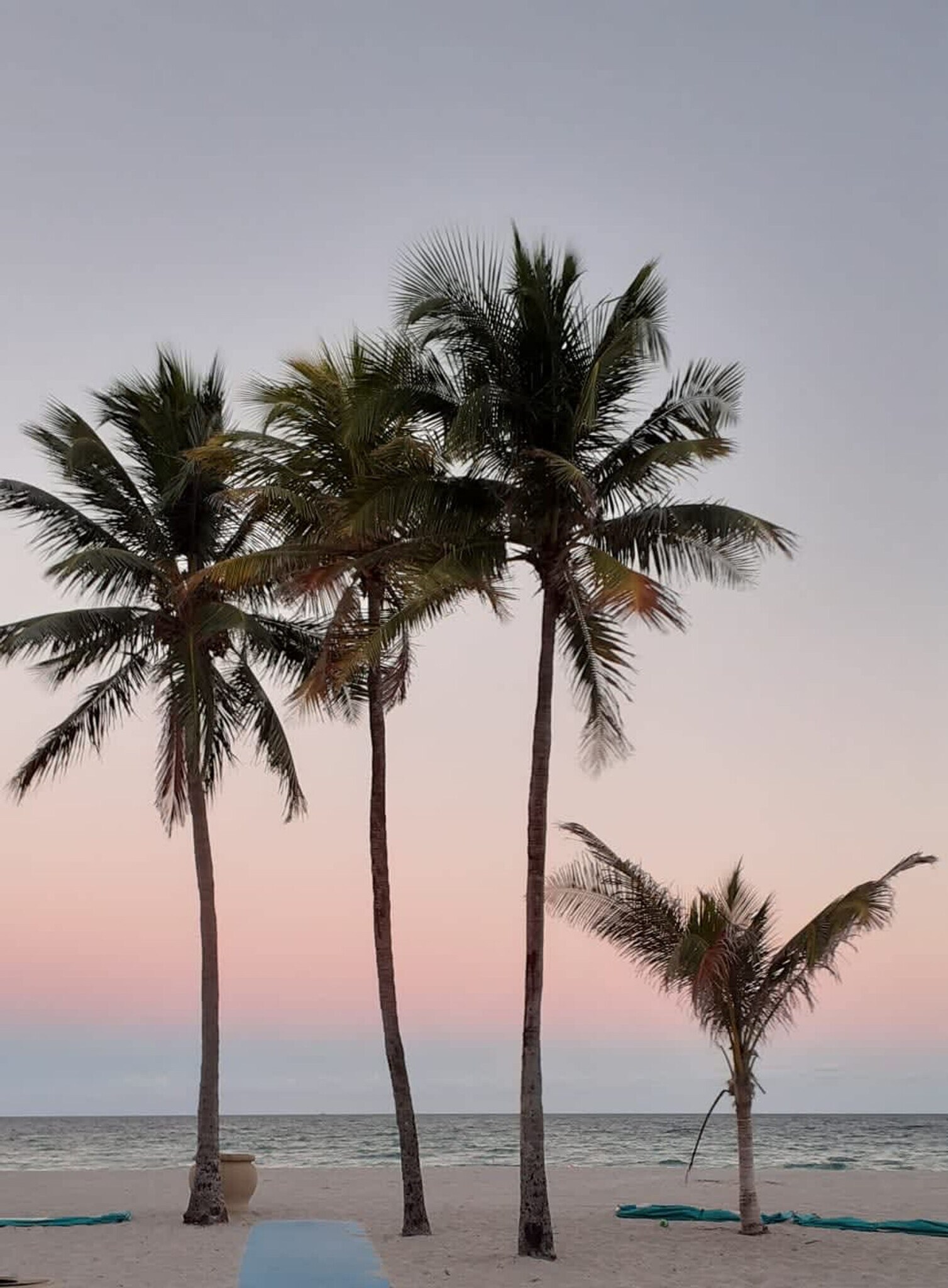 Building Photo - 324 Van Buren St