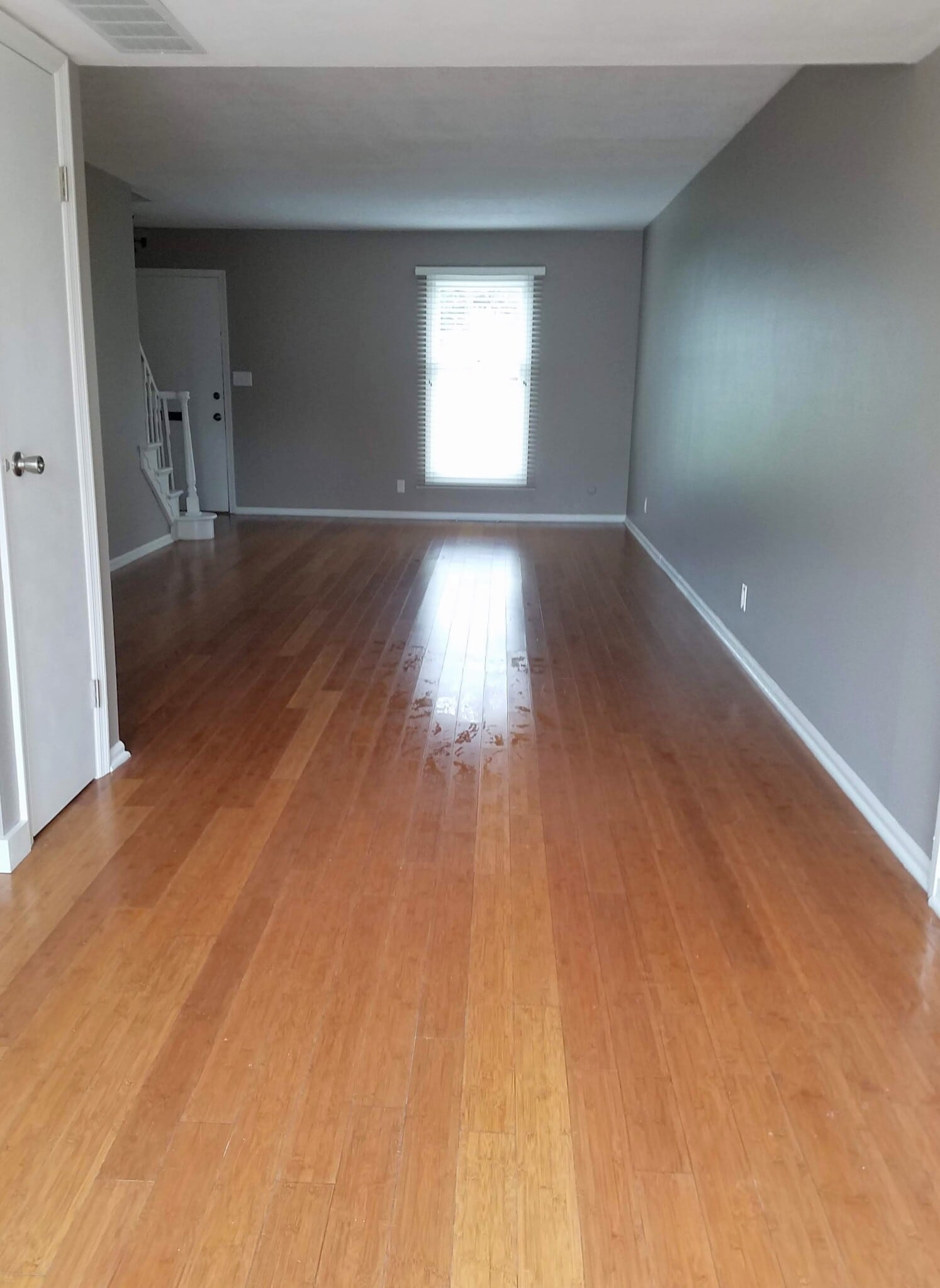 Living room - 1008 Manor Ln