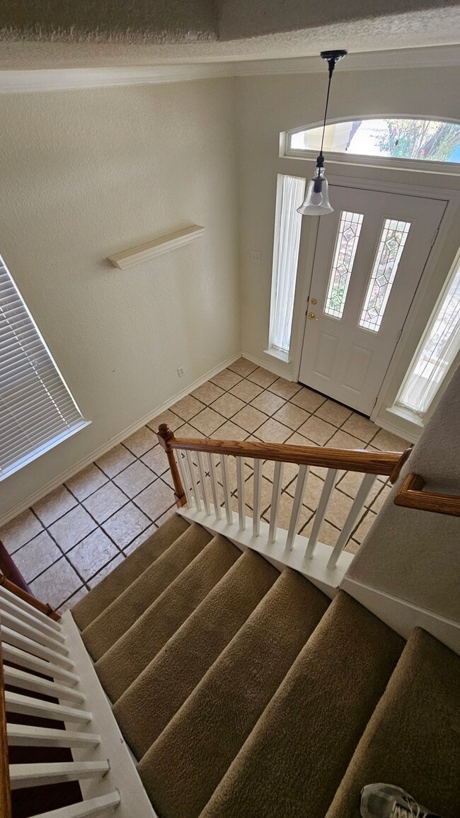 Building Photo - 4719 Shavano Ct