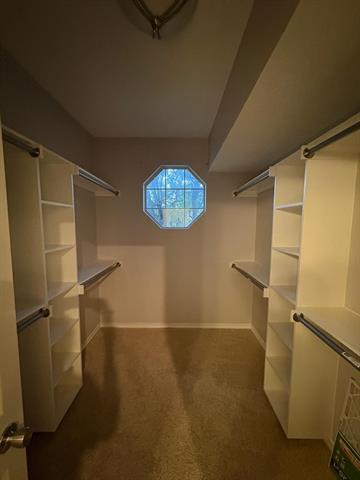 Building Photo - 2113 Cannes Dr