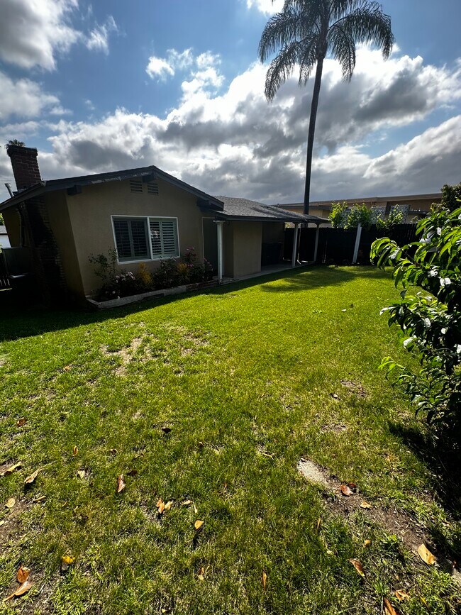 Backyard - 824 Glenway Dr