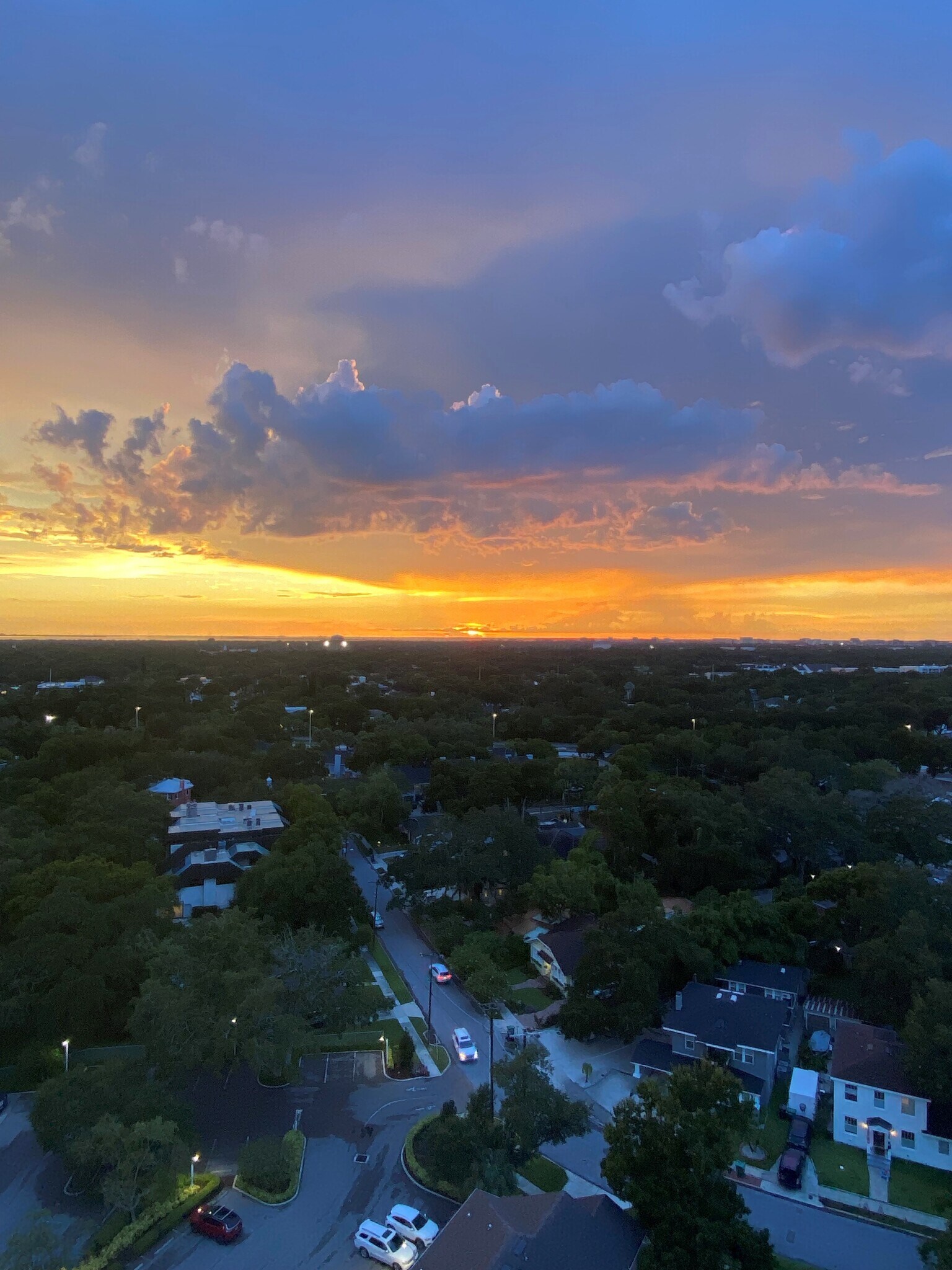 Building Photo - 2611 Bayshore Blvd