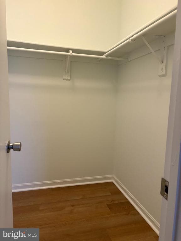 Building Photo - 14823 Rising Sun Ln