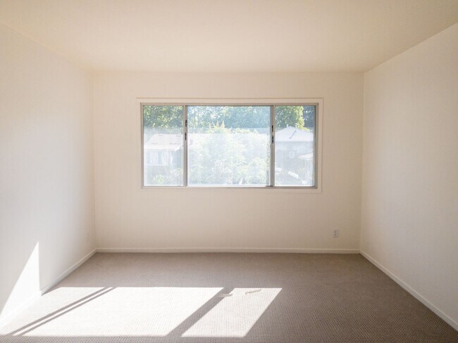 Building Photo - BRIGHT Remodeled Downtown 1BR/1BA Flat! Pa...